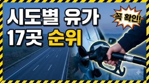 시도별 휘발유 평균가 순위 — 어디가 싸고 어디가 비싼가