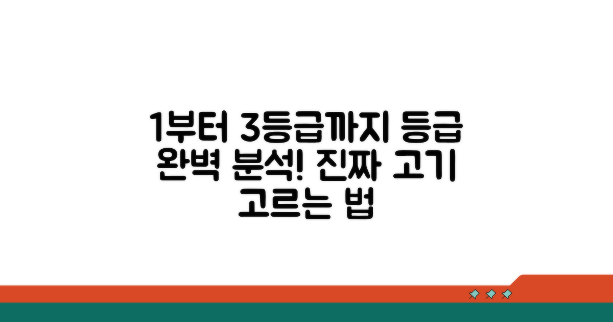 1++부터 3등급까지 등급 보는 법