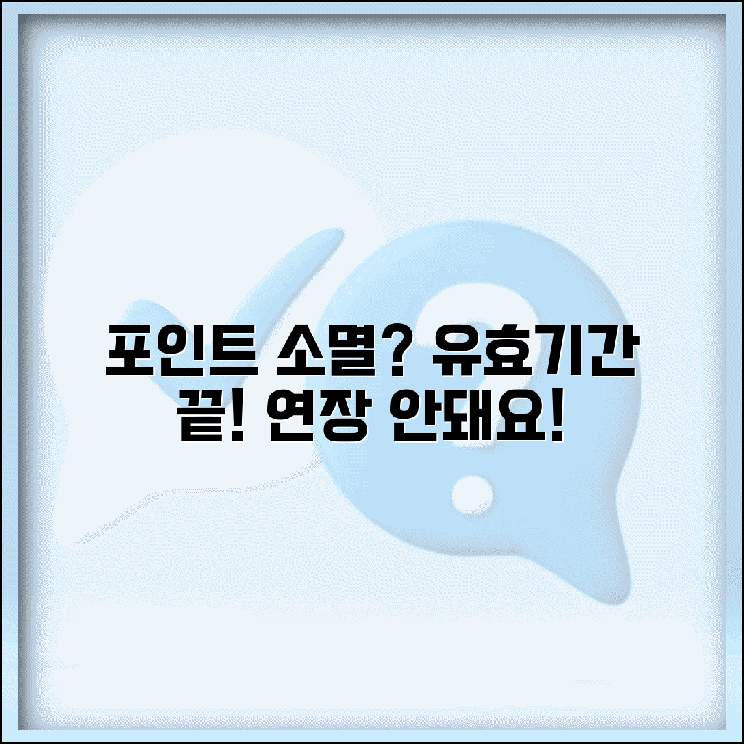 포인트 유효기간 지나면 정말 다 없어지나요 | 포인트 소멸 | 유효기간 | 연장