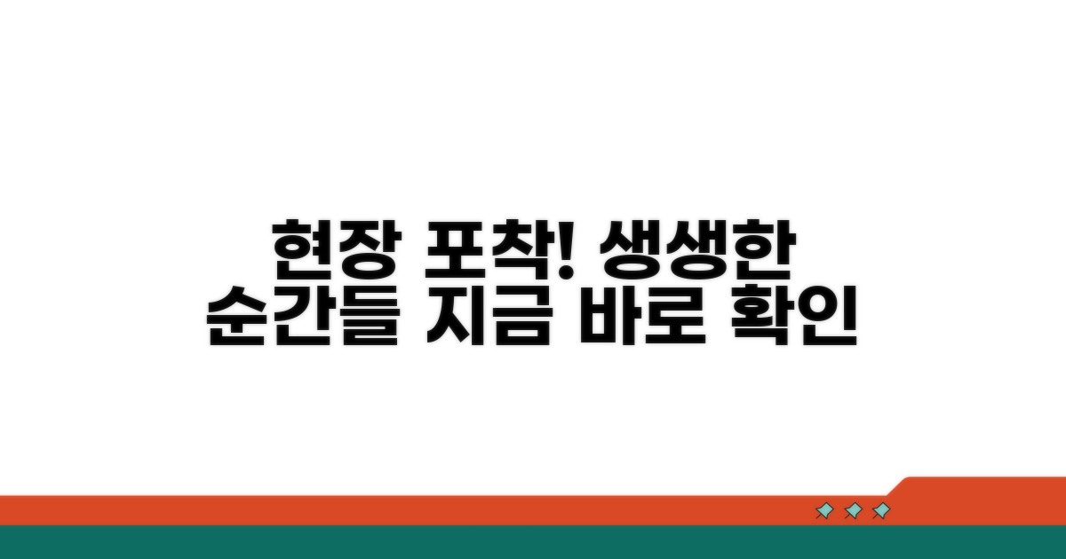 현장 사진 생생하게 보기
