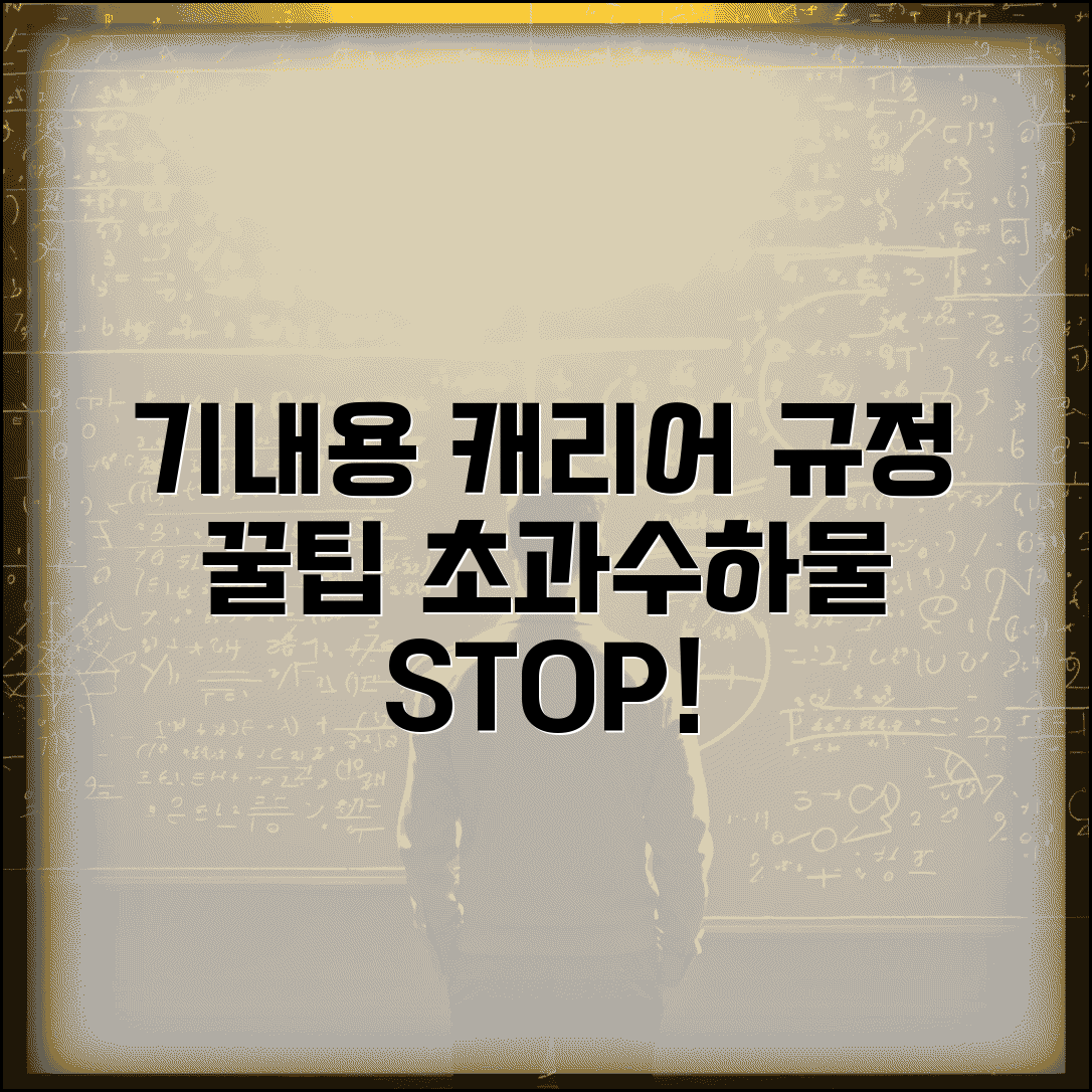 기내용 캐리어 사이즈 항공사별 규정 | 초과 수하물 피하는 방법