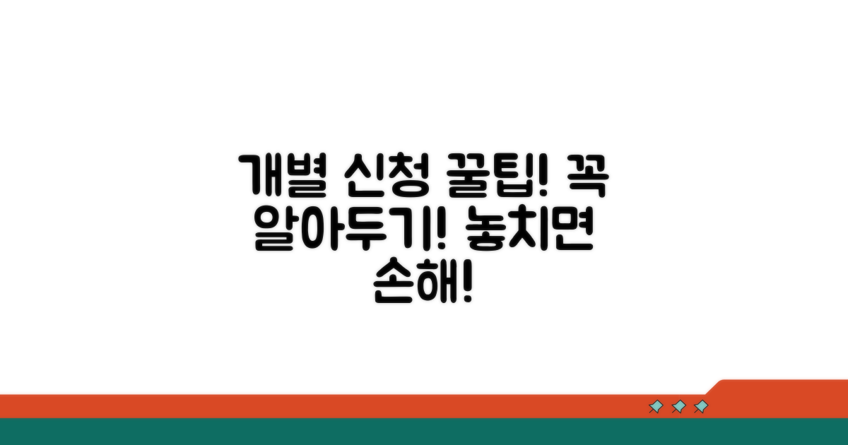 개별 신청 시 알아둘 점과 꿀팁