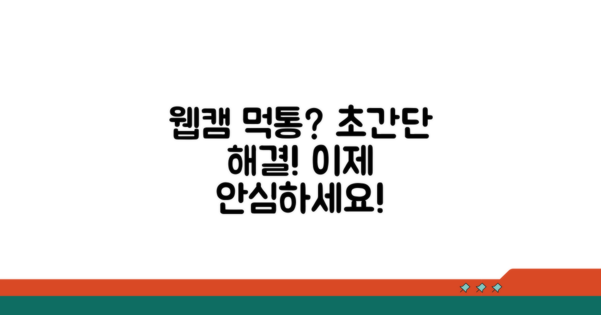 웹캠 작동 안될 때 대처 꿀팁