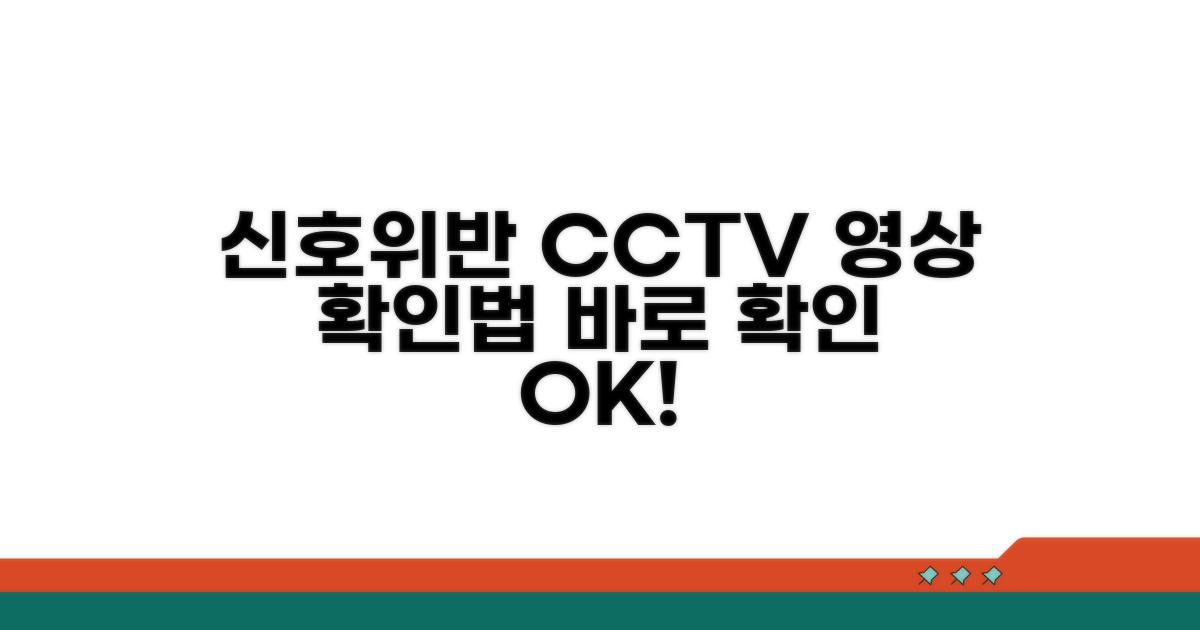 신호위반 CCTV 영상 확인법