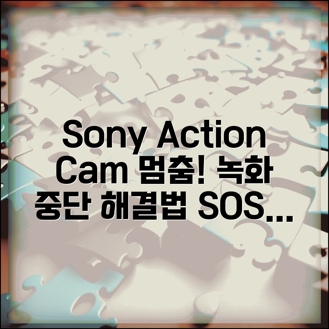 Sony Action Cam 녹화 중단 | 소니 액션캠 녹화 멈춤