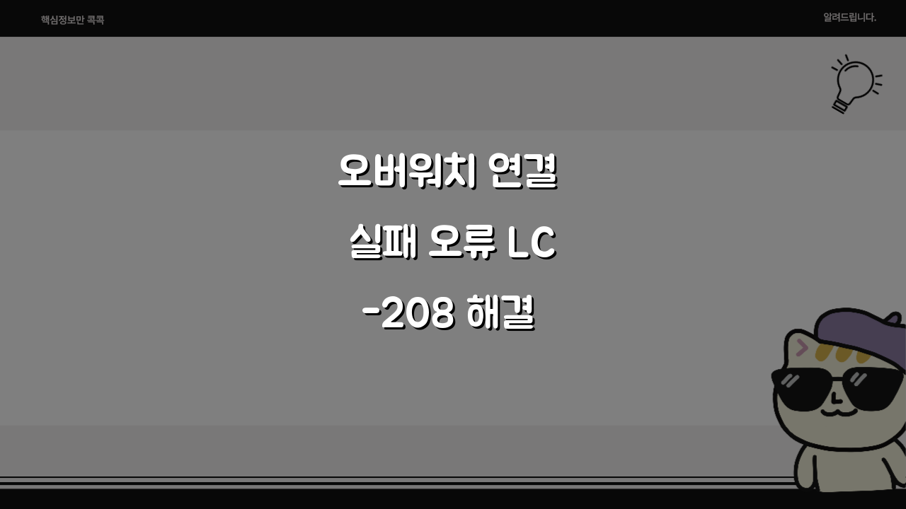오버워치 연결 실패 오류 LC-208 해결 5가지 방법