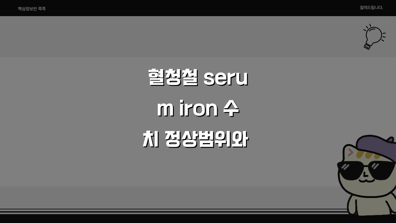혈청철 serum iron 수치 정상범위와 낮을 때 주의사항