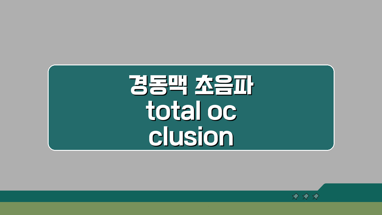경동맥 초음파 total occlusion 해석부터 완전 폐쇄 증상 치료까지