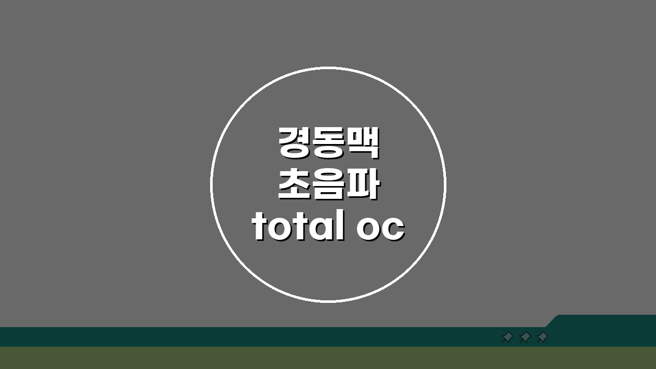 경동맥 초음파 total occlusion 해석부터 완전 폐쇄 증상 치료까지
