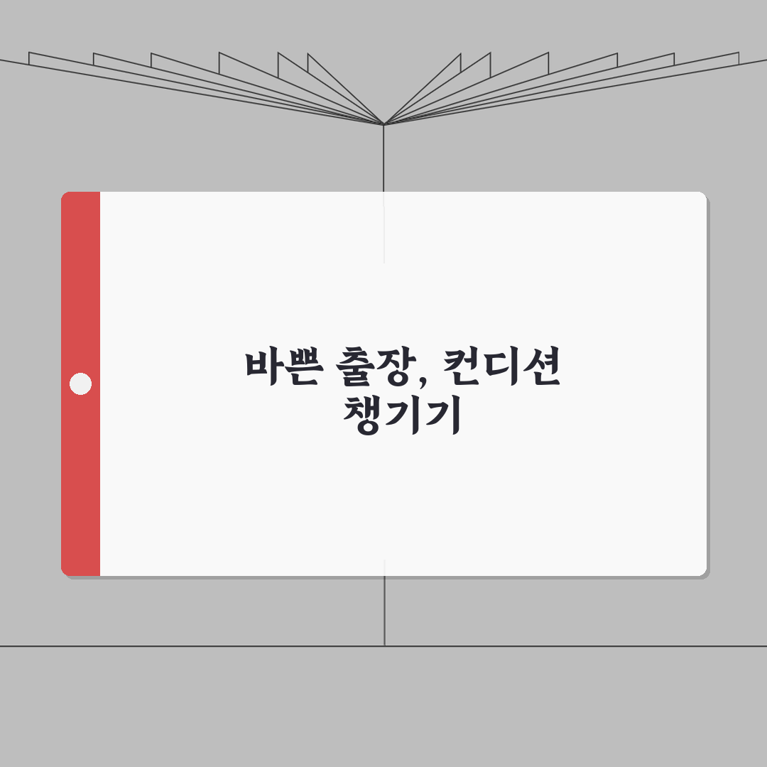 출장 많은 직장인 컨디션 관리 짐 싸기 팁 완벽 가이드 총정리, 직접 해보니 이랬어요