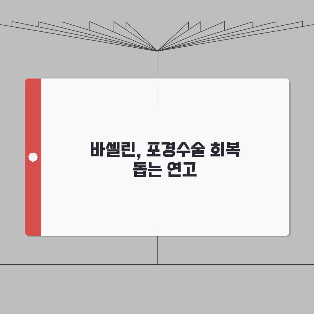 포경수술 바셀린 | 회복 연고 사용법 및 효과 | 처방 vs 일반 제품 총정리