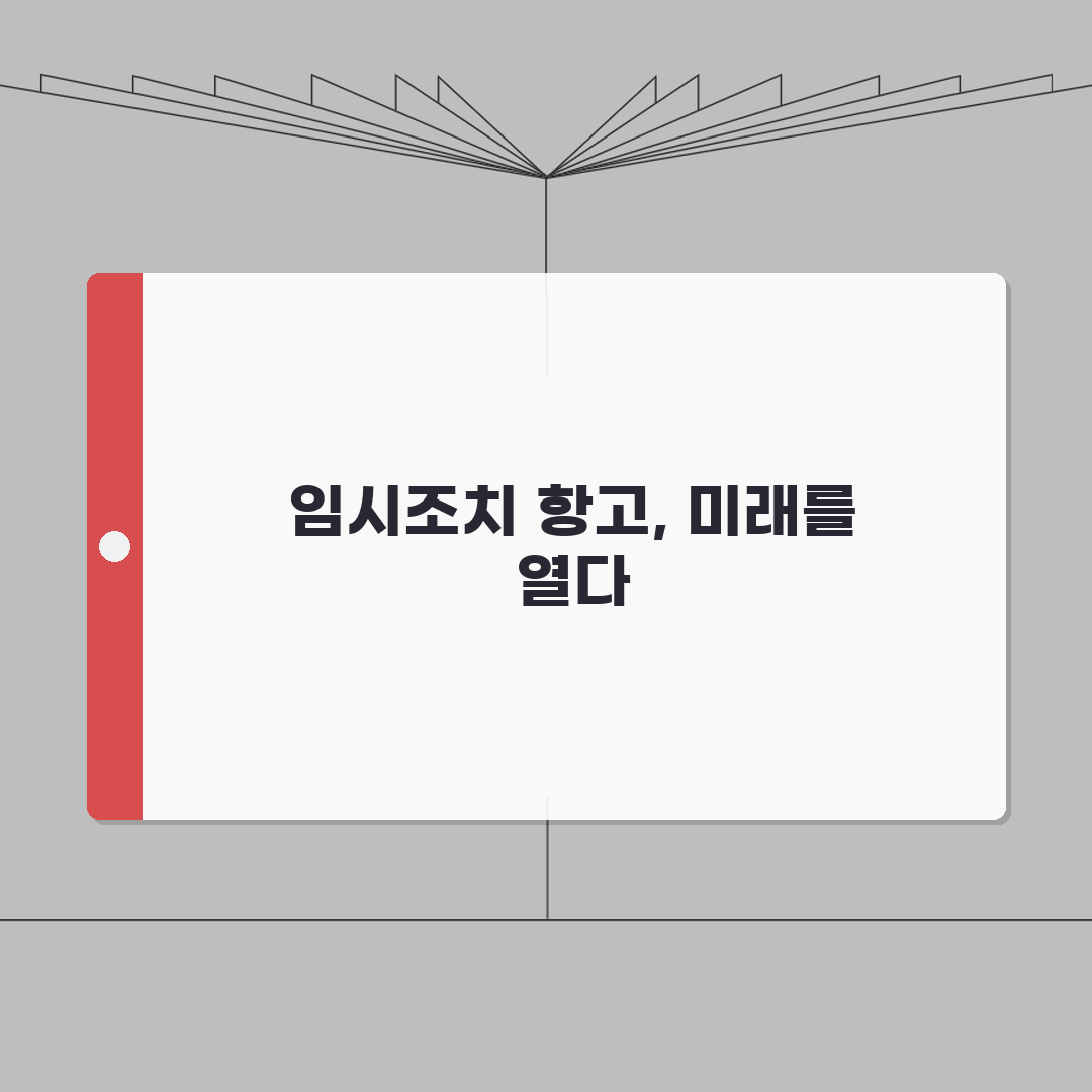 임시조치 항고 절차 가이드 | 불복 A to Z: 7단계 항고장 작성 및 심리 과정