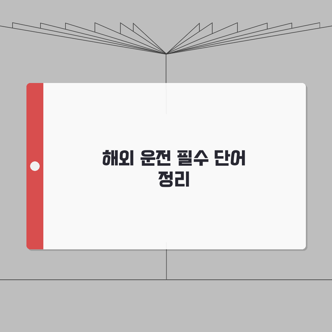 국제운전면허증 관용어 정리 | 해외운전 필수 단어 체험기, 꼭 알아두세요!