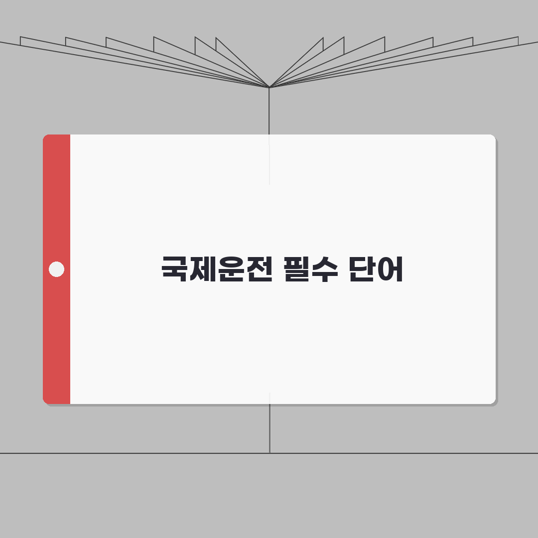 국제운전면허증 관용어 정리 | 해외운전 필수 단어 체험기, 꼭 알아두세요!